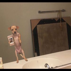 Meet your Posher, Natalia